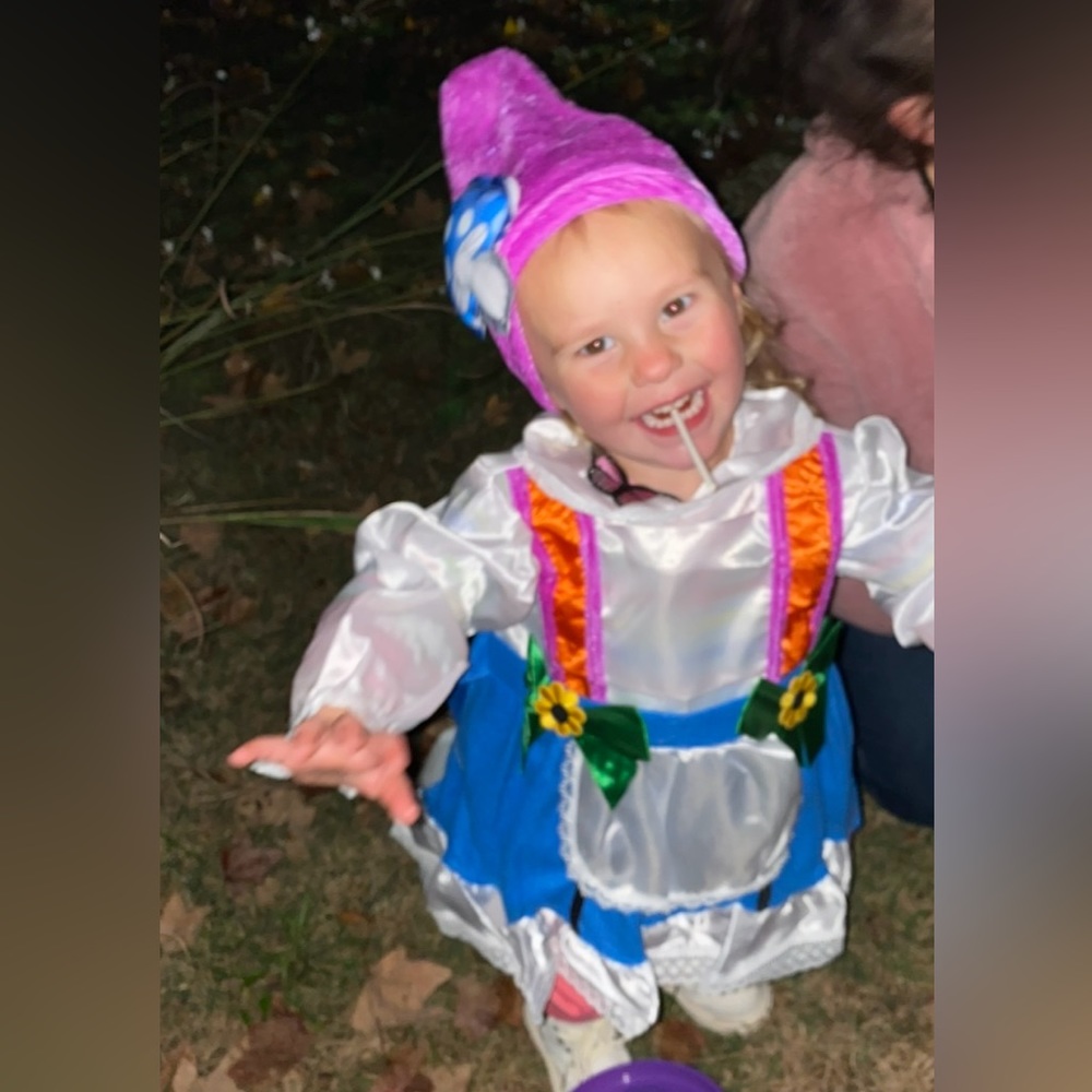 Toddler Girl’s Garden Gnome Costume